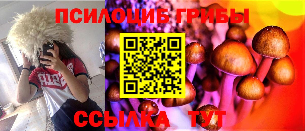 Россия  Галлюциногенные грибы ЛСД  Галлюциногенные грибы MAGIC MUSHROOMS  Вход с VPN 